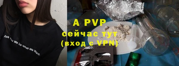 стафф Лабытнанги