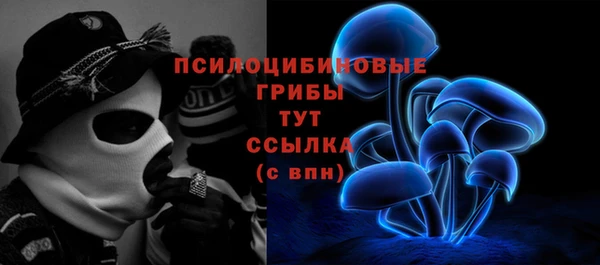 ALPHA PVP Лагань