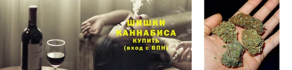 ПСИЛОЦИБИНОВЫЕ ГРИБЫ Карпинск