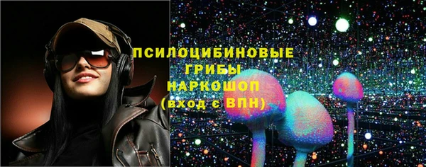 стафф Лабытнанги