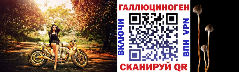 Купить  Бабаево  Галлюциногенные грибы Cubensis 